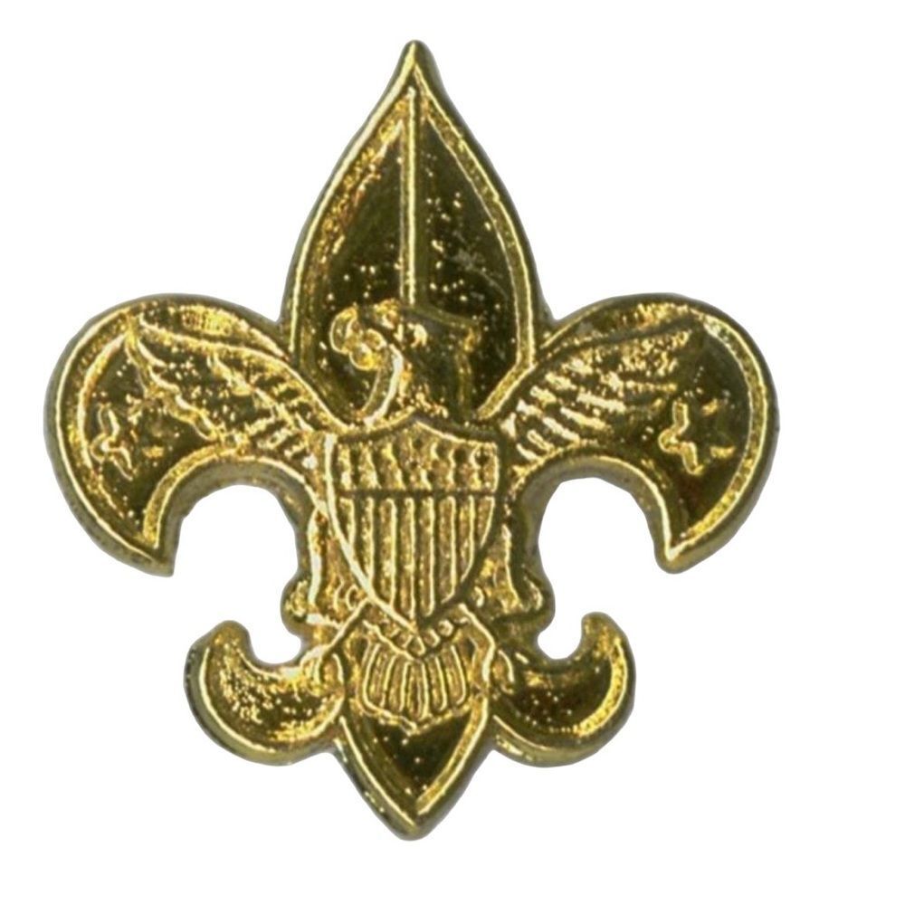 10/$25🦋 Boy Scouts Tenderfoot Rank Parent’s Pin